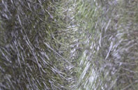 Thringarth fibreglass roof work