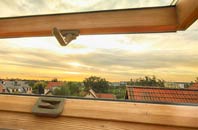 rated Thringarth roof window companies